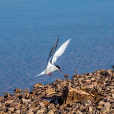 DSC_5163-Edit