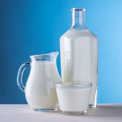 Dairy