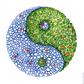 Bipolargruppens logo Yin Yang Pond CC-BY-SA  Fritz Ahlefeldt