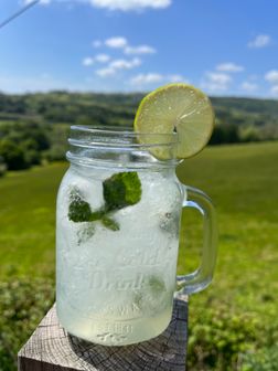 Mojito