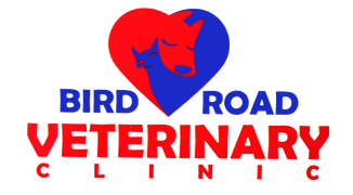 Bird Road Veterinary Clinic