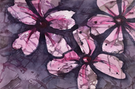 Inspiration: Blå pudeblomst