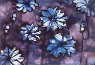 Inspiration: Kornblomster