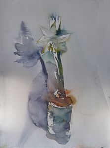 Amaryllis I