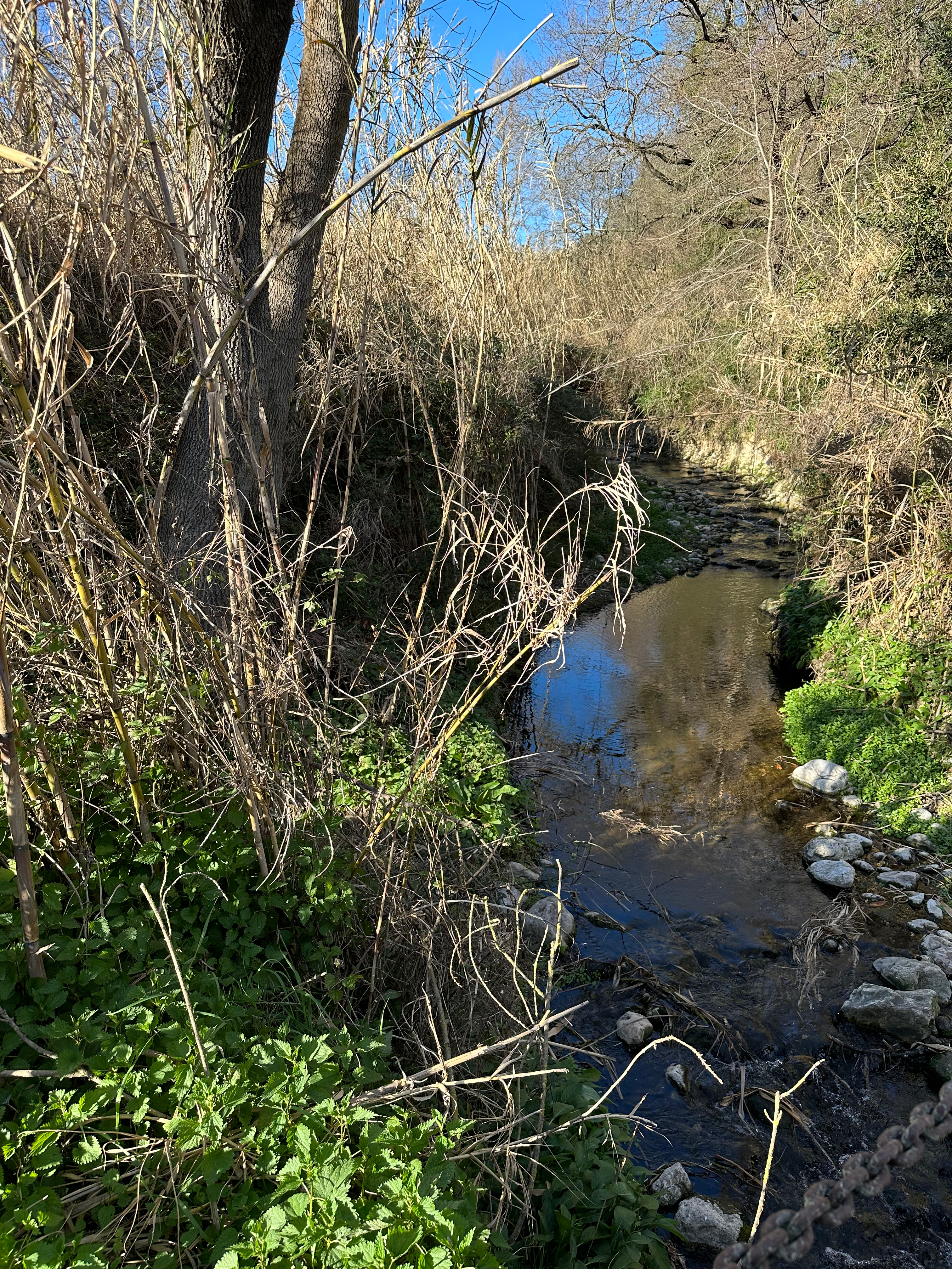 På väg till Saint Paul de Vence
