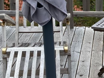 Mammutpumpan växte i kruka på övre altanen. Mycket sol, kräver mycket vattning occh näring.