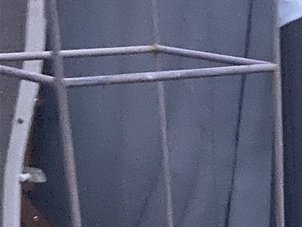 Chiwanoplantor i början av juni