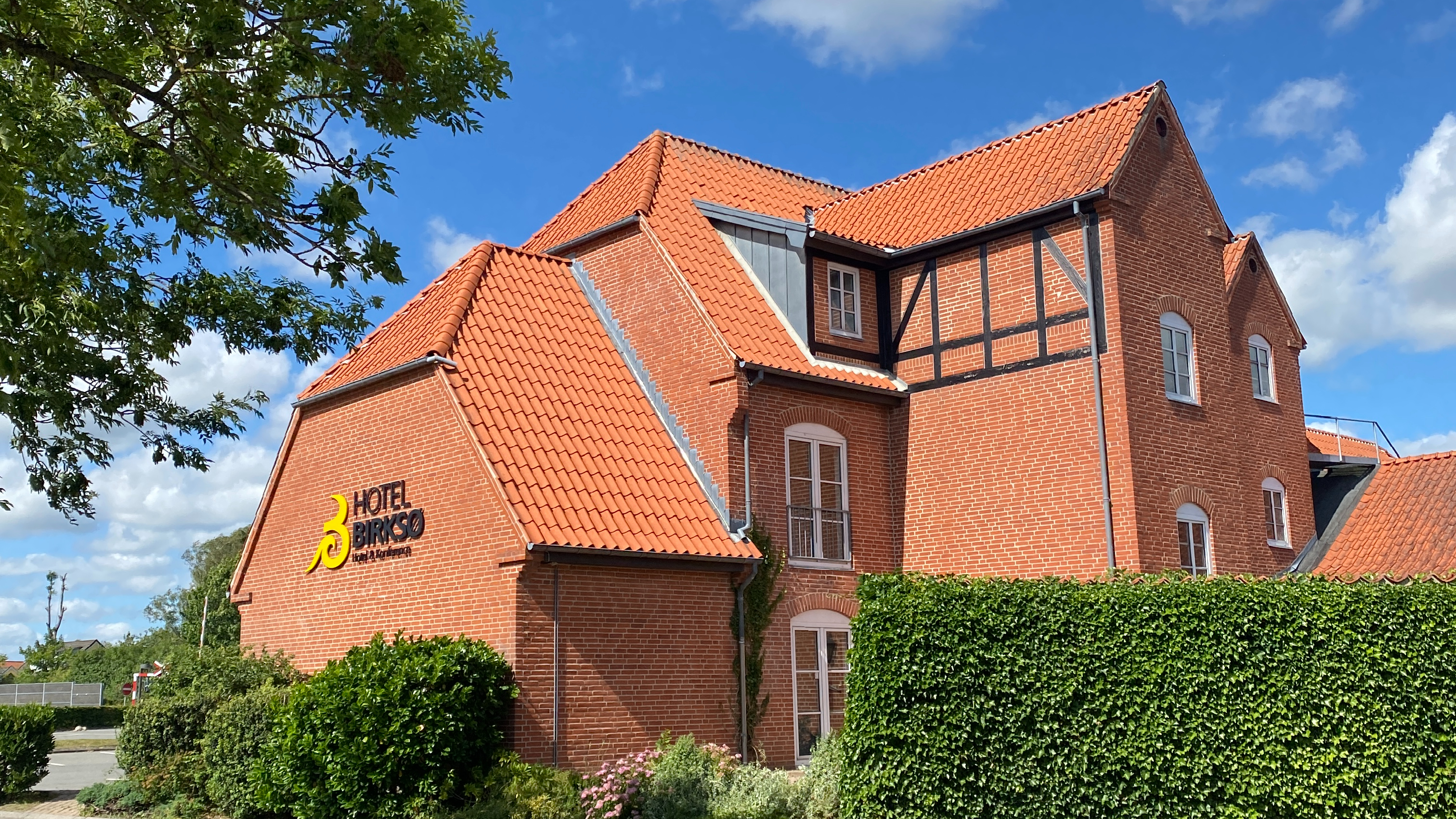 IMG_8431___serialized1