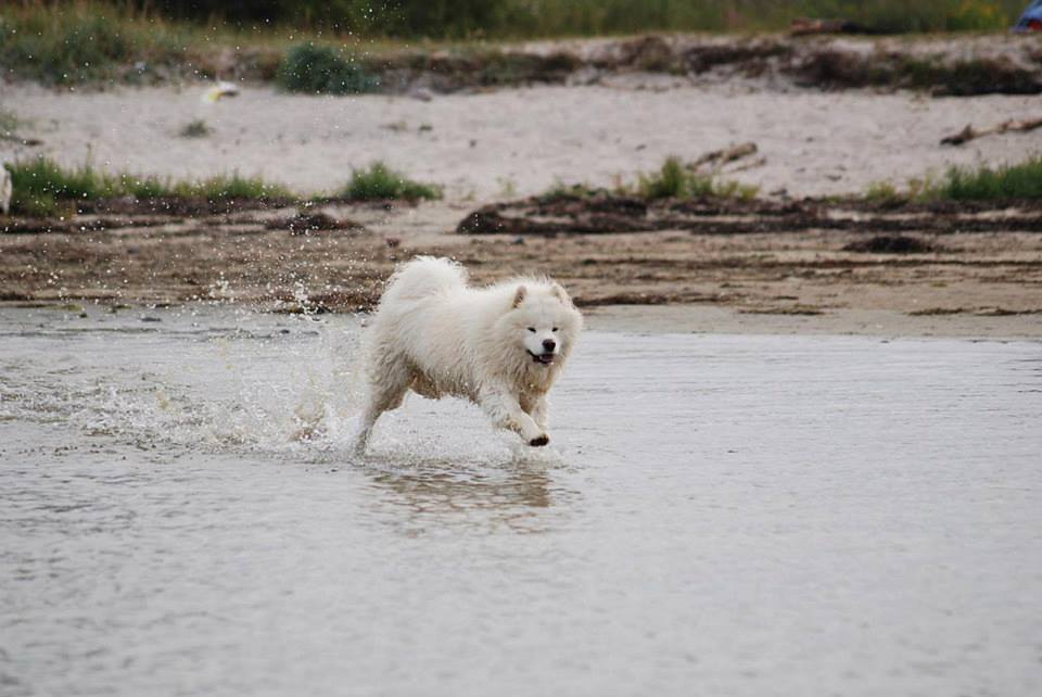 1418_10201647273647769_123003681_n