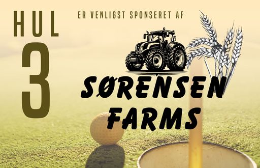 hulskilte25-03