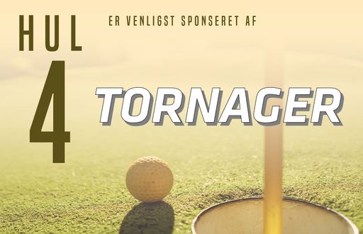 hulskilte25-04
