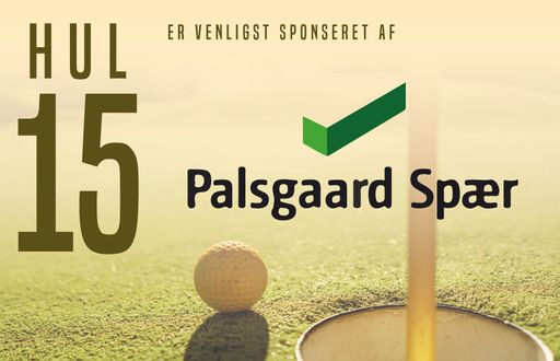 hulskilte25-15