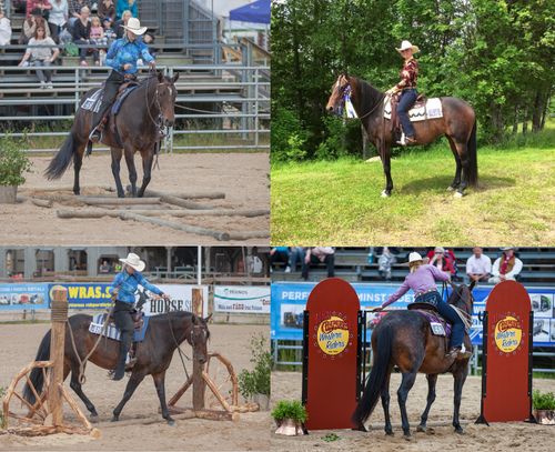 High Chaparral Horse Show juni 2015 - Vinnare av Trail Mainia
