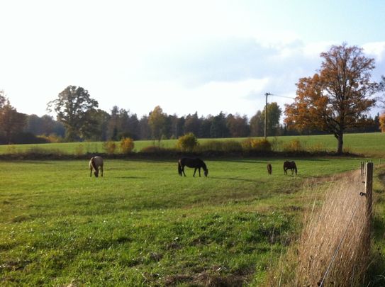 Hösten 2014