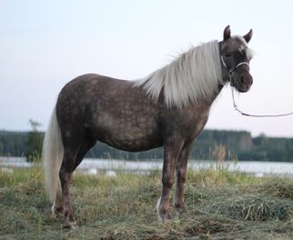 1 år