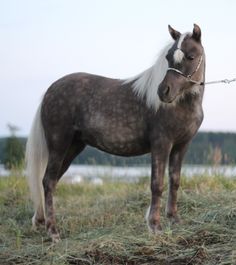 1 år