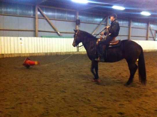 Ropingträning