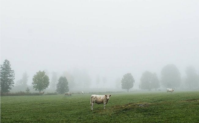Höst 2015