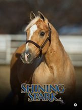 Farfar Shining Spark