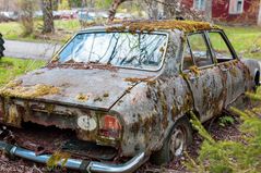 IMG_4434