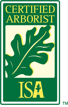 ISA Certified arborist
