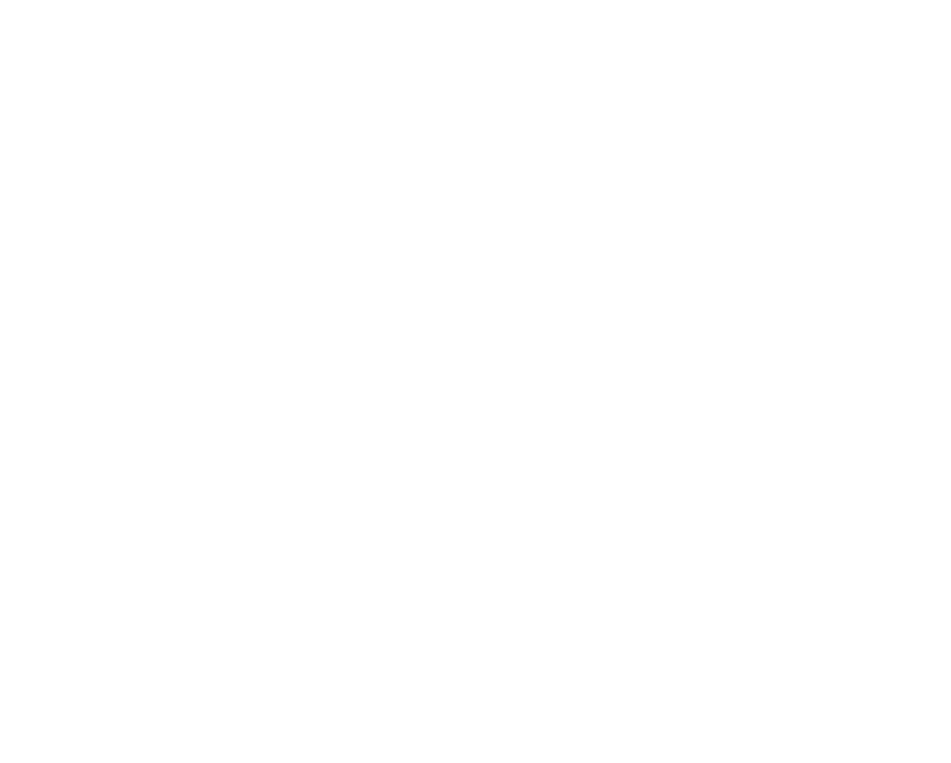 Salomon Logo White
