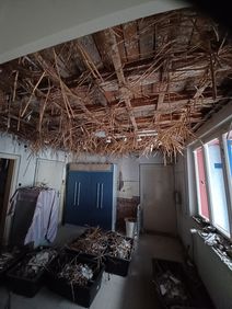 20220819_170932_edited1