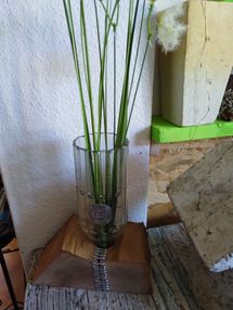 IMG_20190514_105534