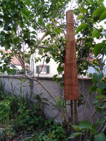 IMG_20210512_184339