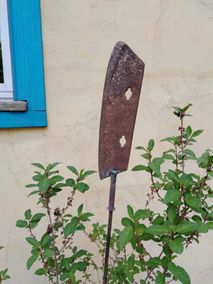 IMG_20210618_164901