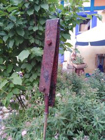 IMG_20210618_203254