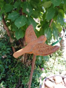 IMG_20210710_132327