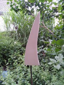 IMG_20210712_083853