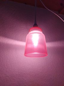 IMG_20211025_133805