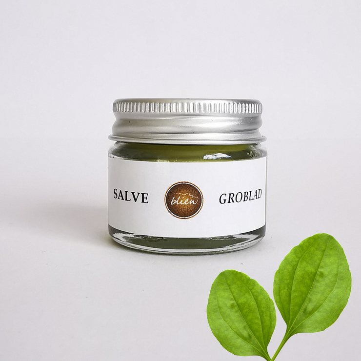 grobladsalve