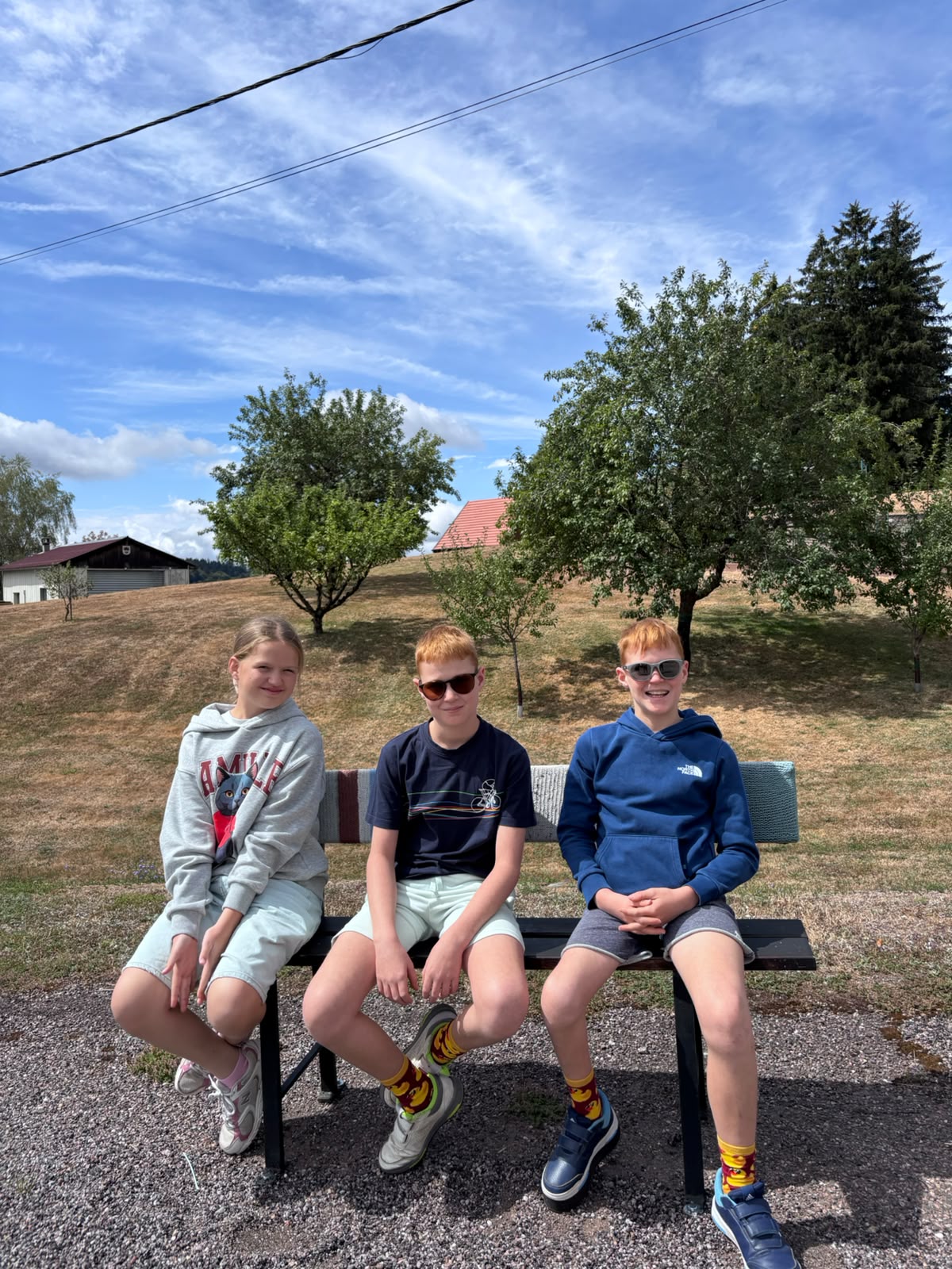 Vogezen (5)