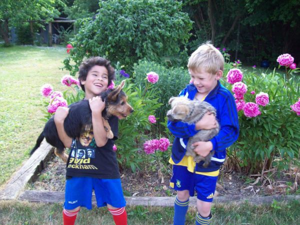 Sofus og Rasmus med deres hvalpebørn/Sofus and Rasmus with their puppies