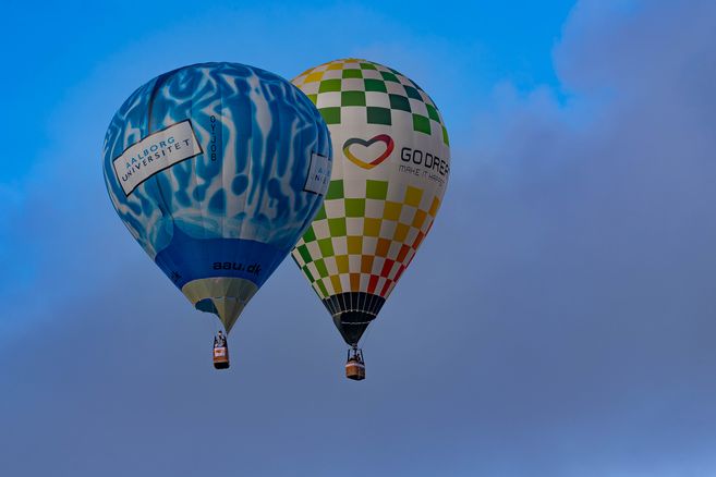 65391 GBL_8088