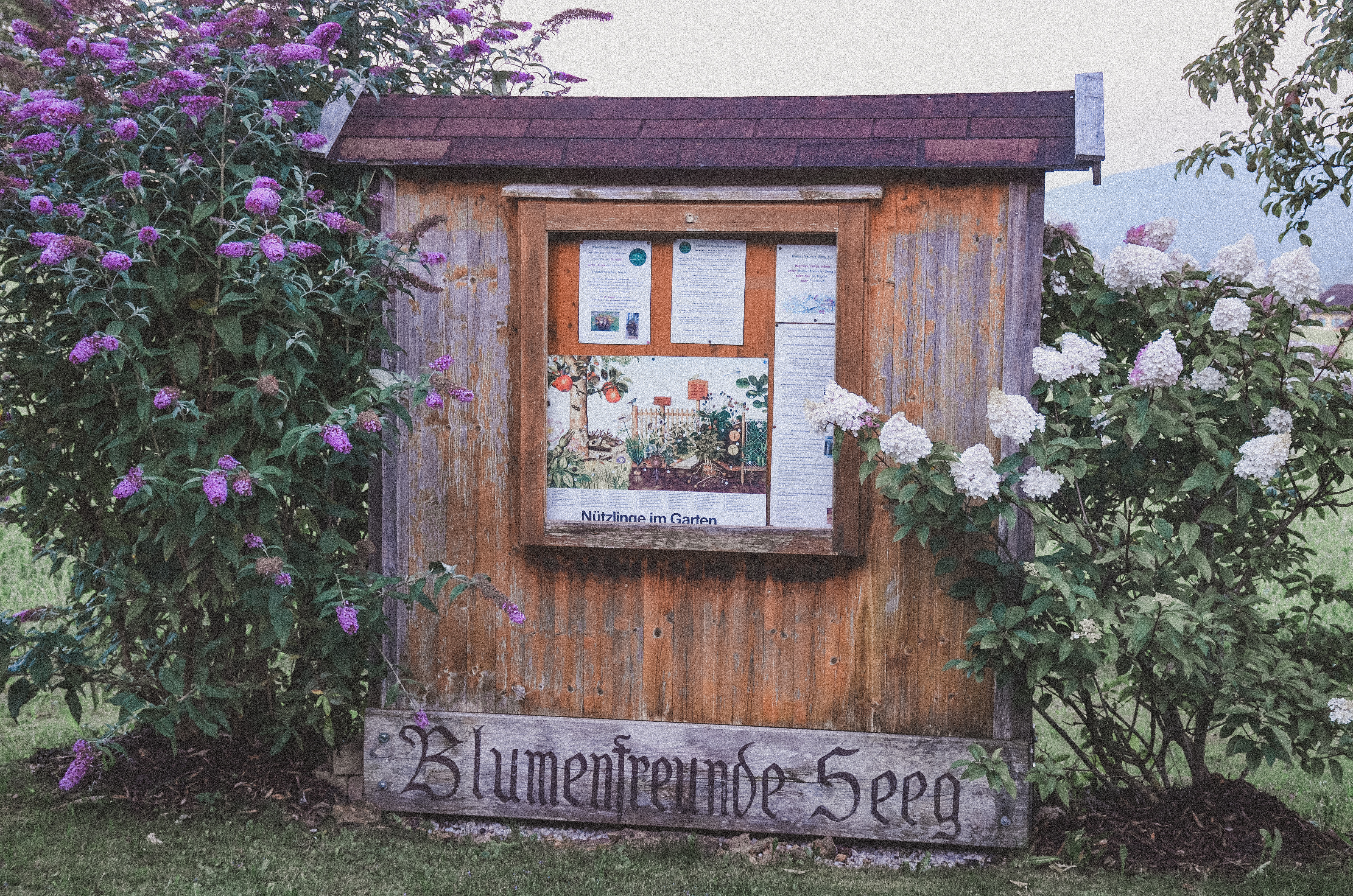 Bild1-96