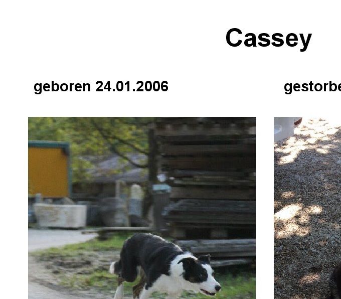 Cassey 