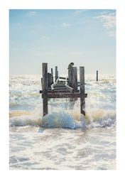 IMG_9746