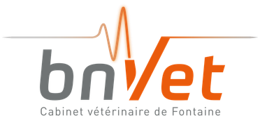 Cabinet vétérinaire de Fontaine