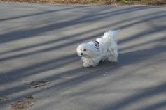 20240225_info(216)