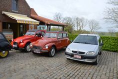 Heuvelland (104)