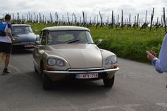 Heuvelland (108)