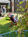 2024 07 28 Zomerrit (1032)