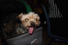 DSC02202