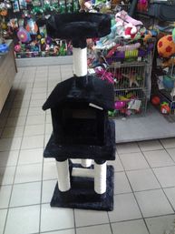 kattenpaal , kattenklim pino prijs 59 Euro