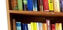 Der var også fin underholdning på resortbiblioteket.Som faglært boghandler tog jeg mig den frihed at flytte svenske og danske bøger fra German til Other :-)