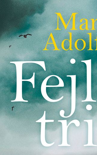 Godt plot, godt sprog, fed forside. Hyggelig krimi, tilsat et pift god humor  - Super strandstolsbasker –